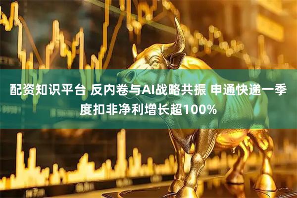 配资知识平台 反内卷与AI战略共振 申通快递一季度扣非净利增长超100%